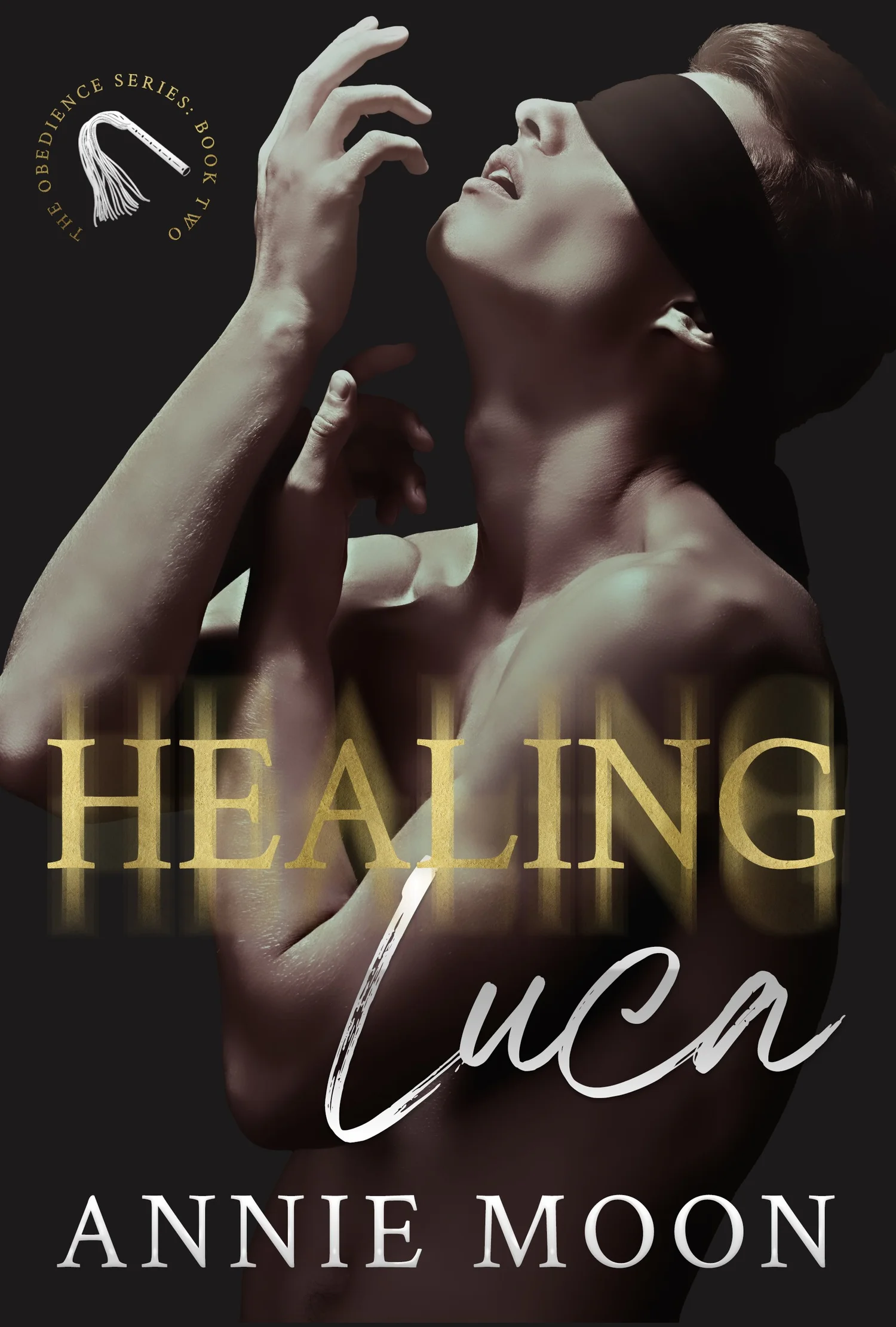 Healing Luca cover
