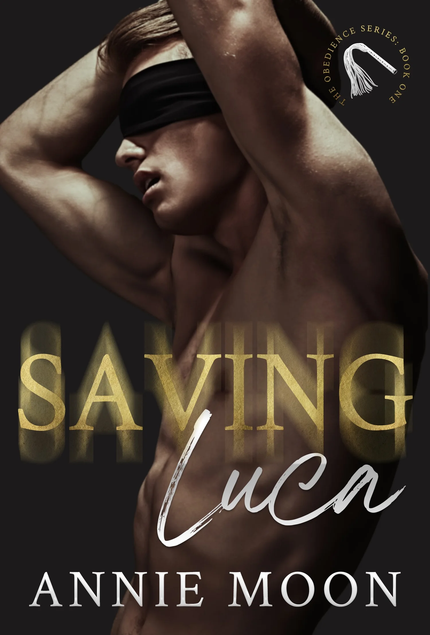 Saving Luca cover